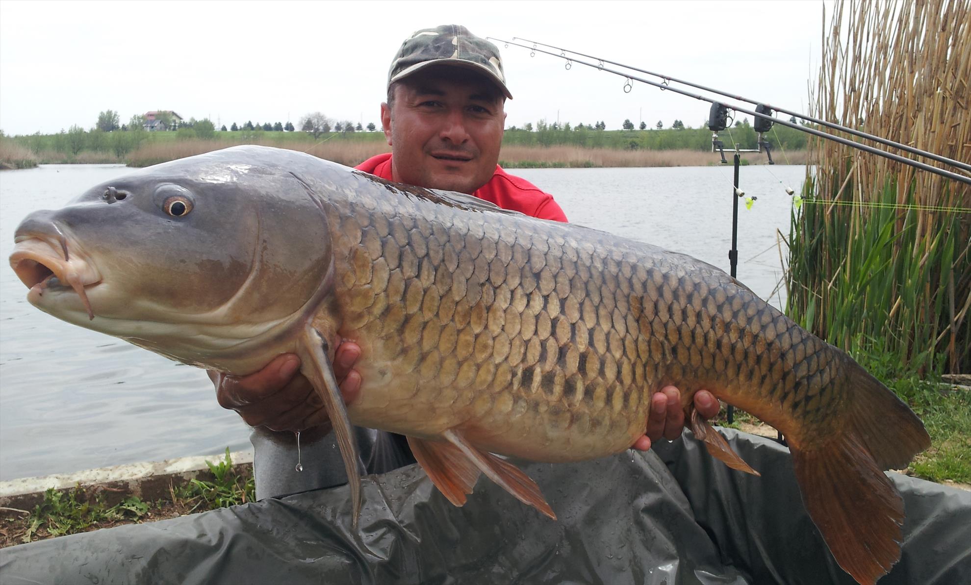 Tancabesti 21 - 22 aprilie 2014 - 20140422123118.jpg